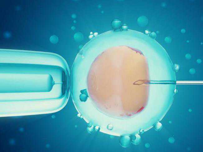 多囊卵巢科学助孕指南：详解如何提高受孕率及代怀备孕策略