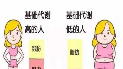 北京检查精子质量哪家医院好？供卵代生与科学助孕机构深度指南